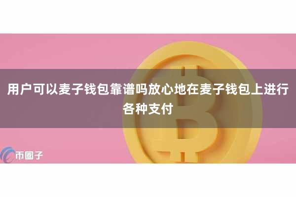 用户可以麦子钱包靠谱吗放心地在麦子钱包上进行各种支付