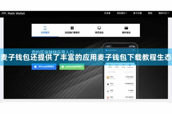 麦子钱包还提供了丰富的应用麦子钱包下载教程生态