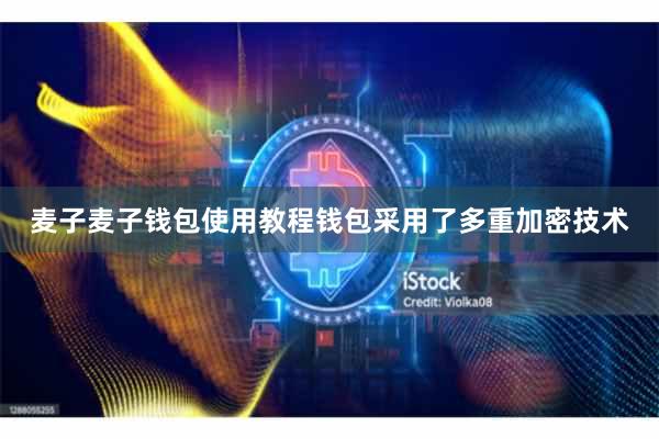 麦子麦子钱包使用教程钱包采用了多重加密技术