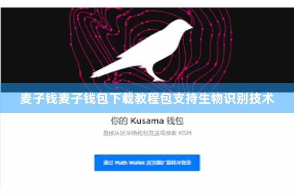 麦子钱麦子钱包下载教程包支持生物识别技术