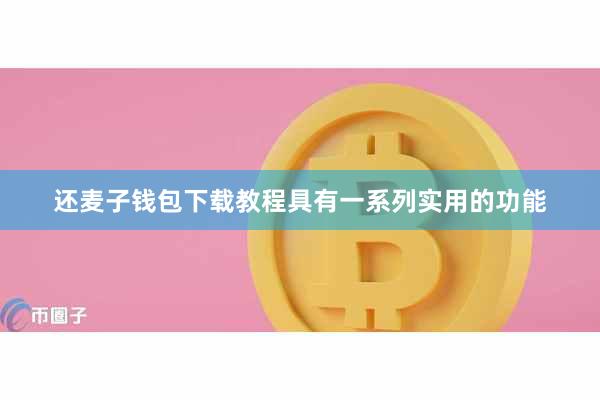 还麦子钱包下载教程具有一系列实用的功能