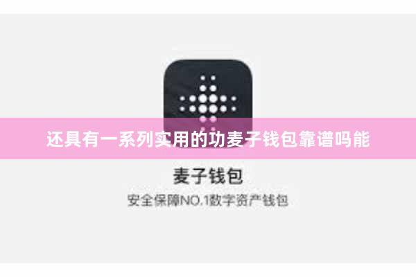 还具有一系列实用的功麦子钱包靠谱吗能