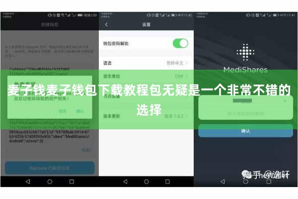 麦子钱麦子钱包下载教程包无疑是一个非常不错的选择