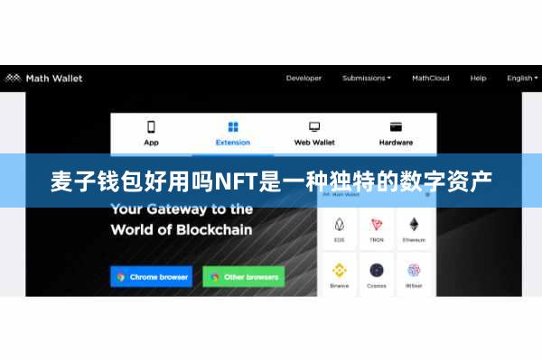 麦子钱包好用吗NFT是一种独特的数字资产