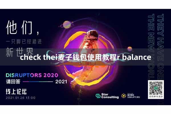 check thei麦子钱包使用教程r balance