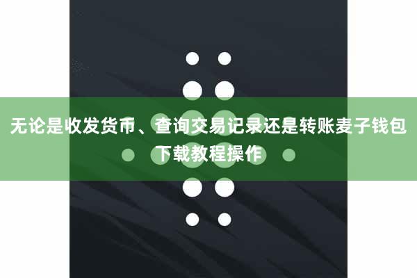 无论是收发货币、查询交易记录还是转账麦子钱包下载教程操作