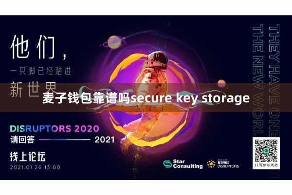 麦子钱包靠谱吗secure key storage