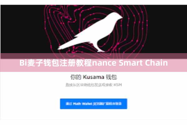 Bi麦子钱包注册教程nance Smart Chain
