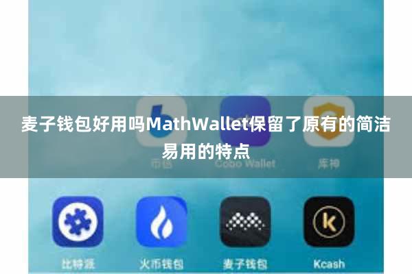 麦子钱包好用吗MathWallet保留了原有的简洁易用的特点