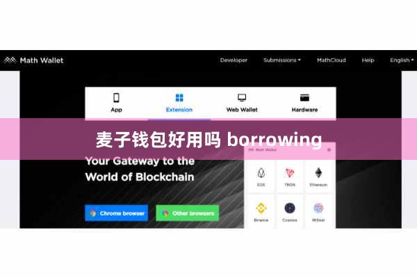 麦子钱包好用吗 borrowing