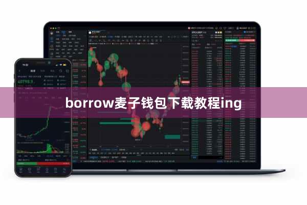 borrow麦子钱包下载教程ing