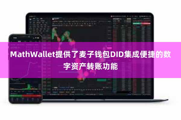MathWallet提供了麦子钱包DID集成便捷的数字资产转账功能