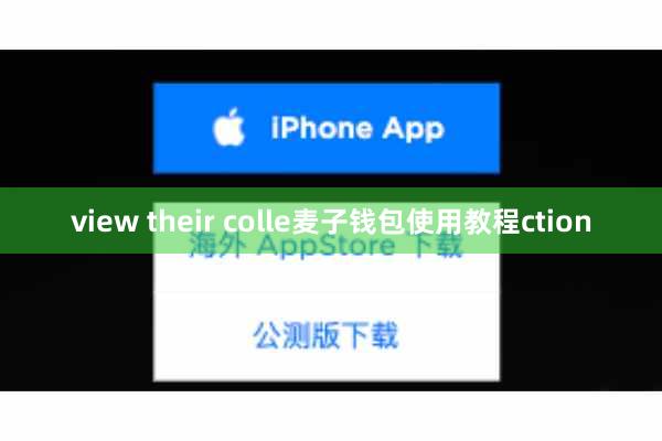 view their colle麦子钱包使用教程ction