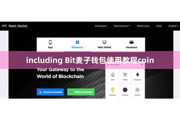 including Bit麦子钱包使用教程coin