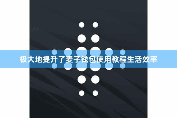 极大地提升了麦子钱包使用教程生活效率