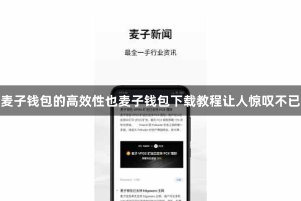 麦子钱包的高效性也麦子钱包下载教程让人惊叹不已