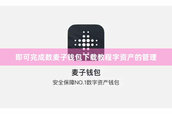 即可完成数麦子钱包下载教程字资产的管理