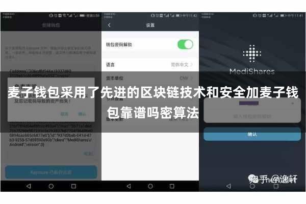 麦子钱包采用了先进的区块链技术和安全加麦子钱包靠谱吗密算法