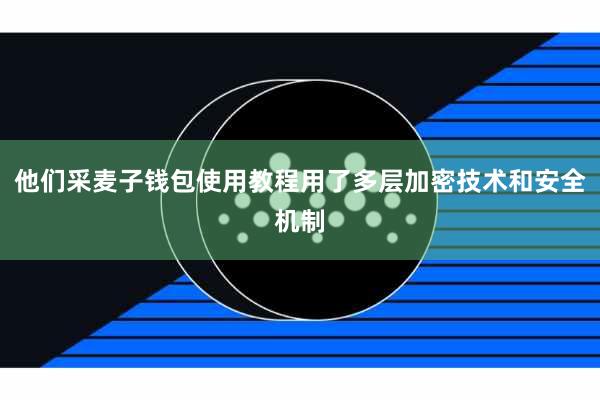 他们采麦子钱包使用教程用了多层加密技术和安全机制