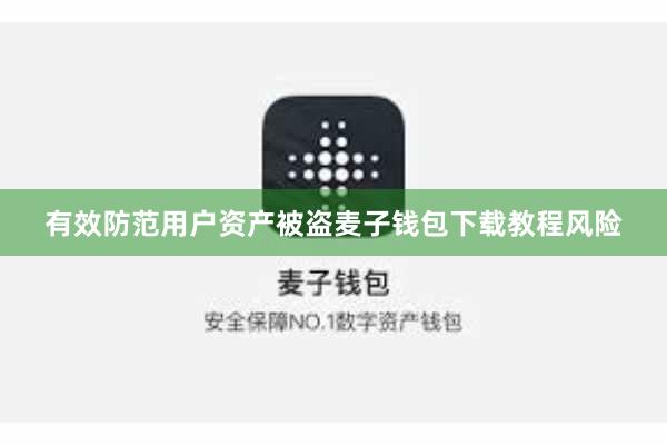 有效防范用户资产被盗麦子钱包下载教程风险